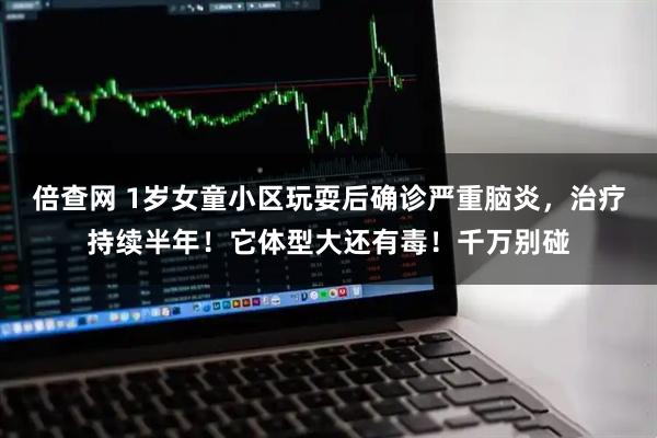 倍查网 1岁女童小区玩耍后确诊严重脑炎，治疗持续半年！它体型大还有毒！千万别碰